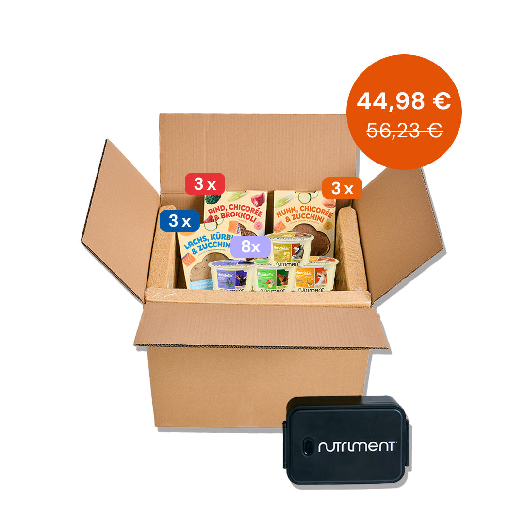 Probierpaket Frischemenü Mix + Eis