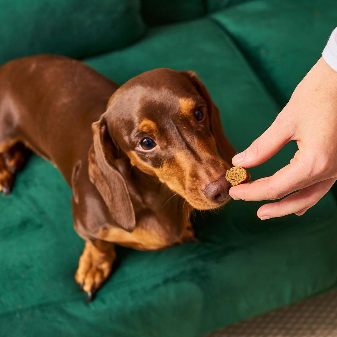 Gourmet-Slices - Wild