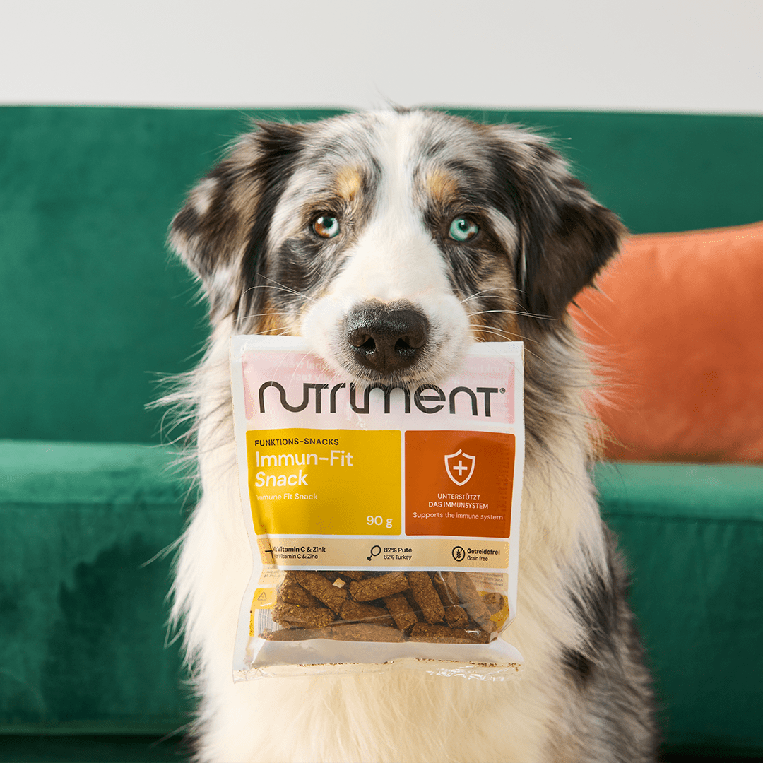 Immun-Fit Snack– 90 g