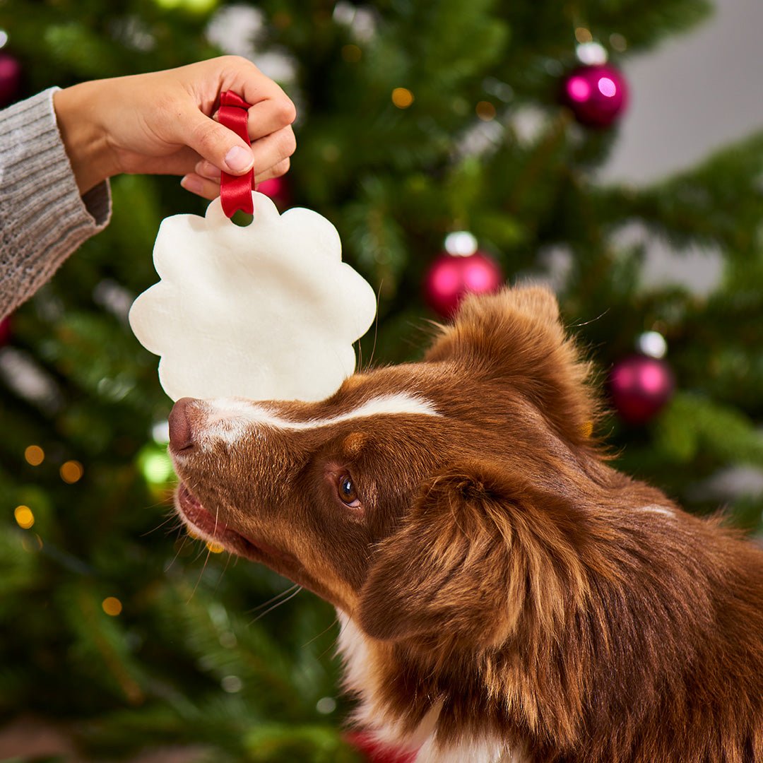 Lebkuchen für Hunde aus Rinderhaut als festliche Weihnachtsleckerei