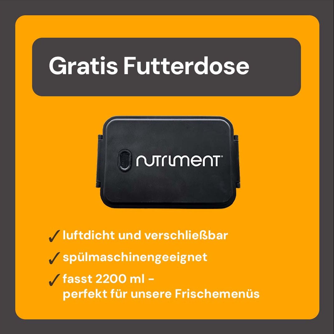 Probierpaket Frischemenü Medallions