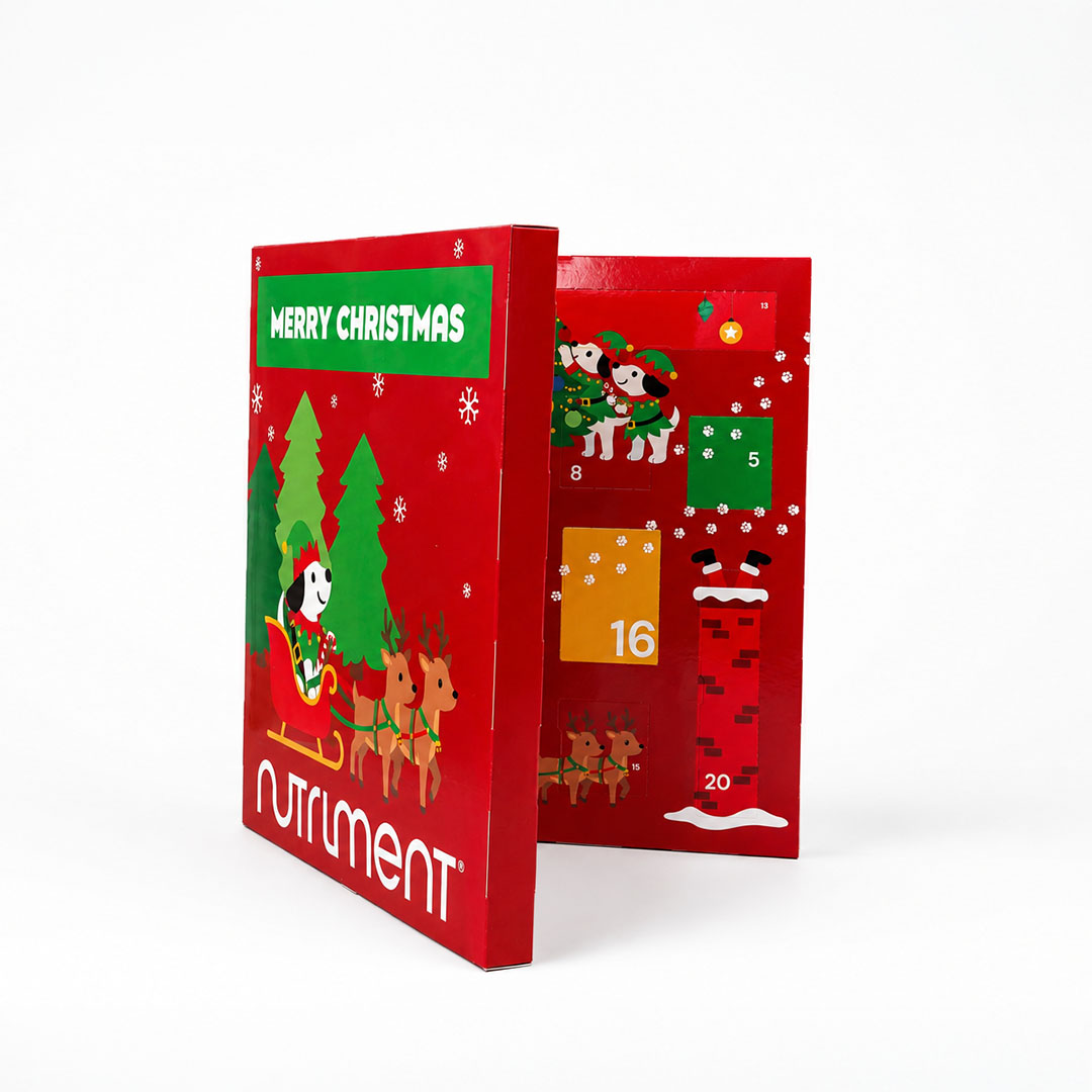 Hunde Adventskalender 2026