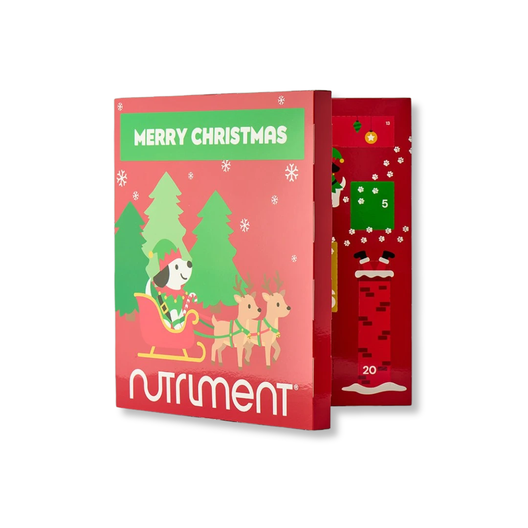 Adventskalender für Hunde