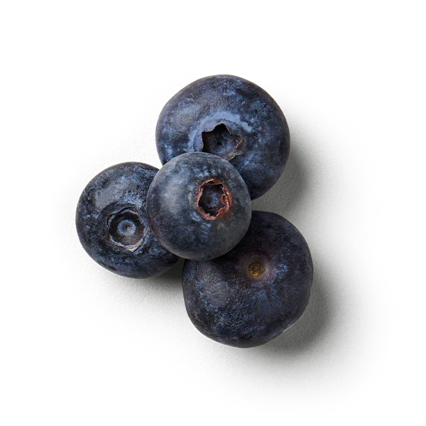 Blaubeere