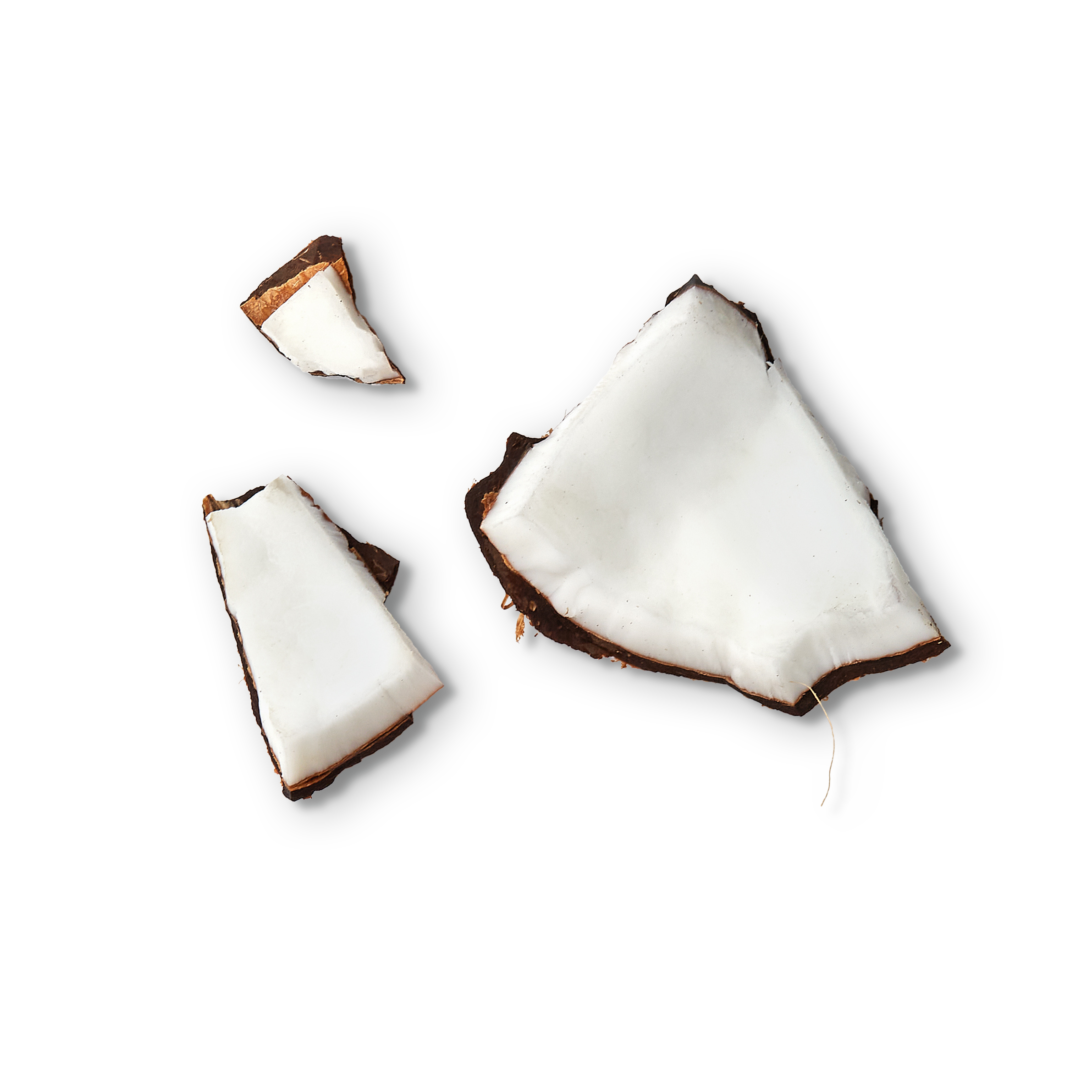 Kokosnuss