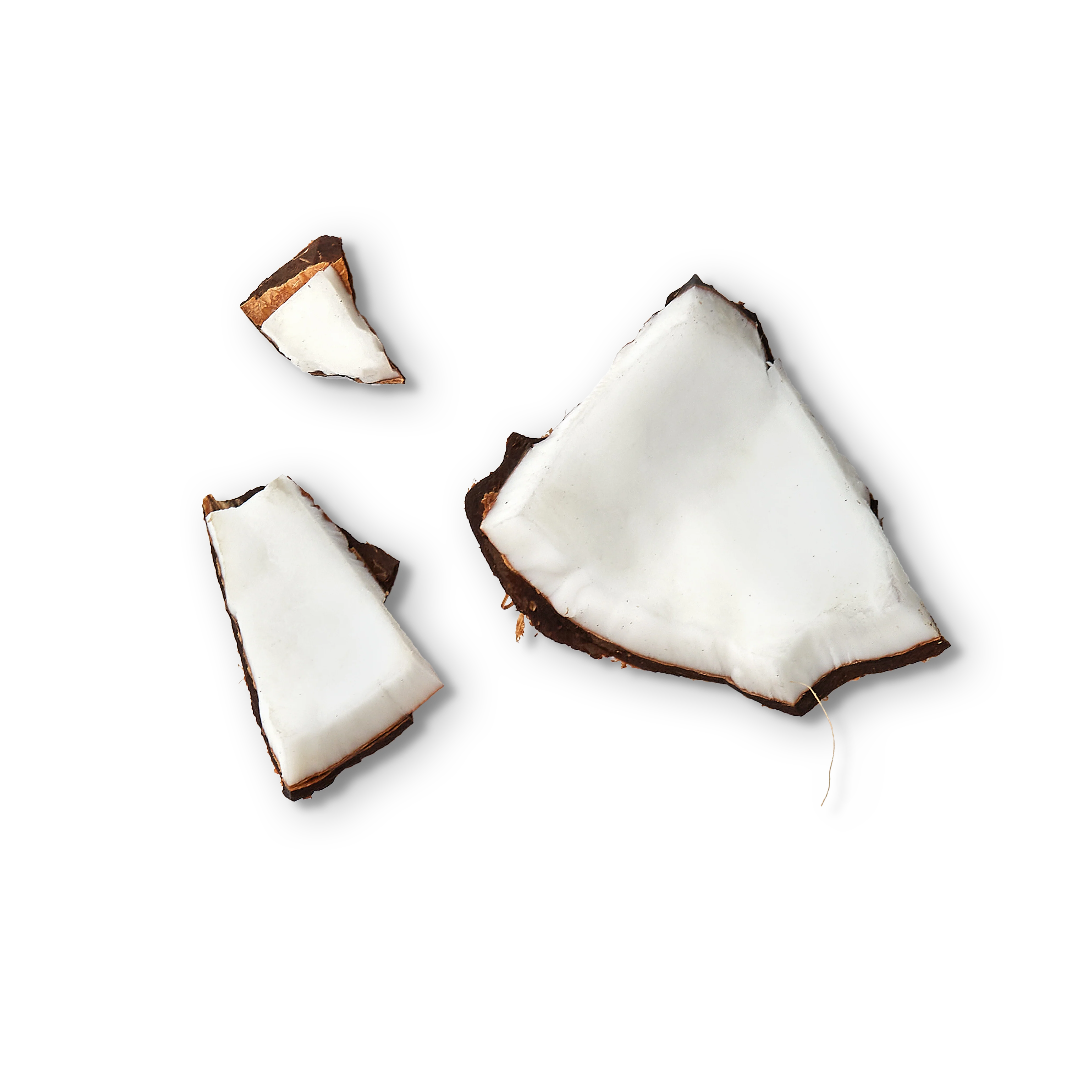Kokosnuss