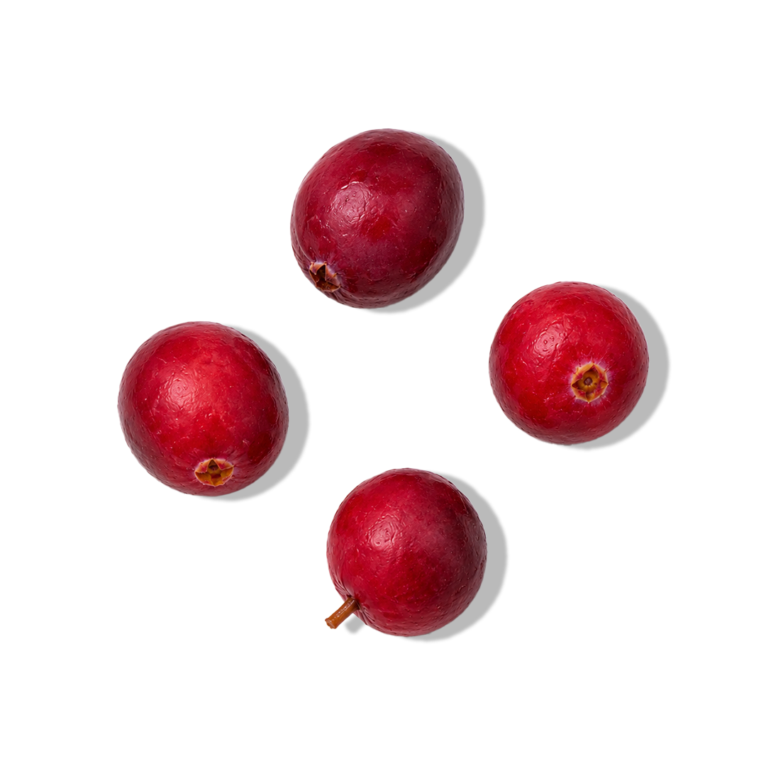 Cranberry