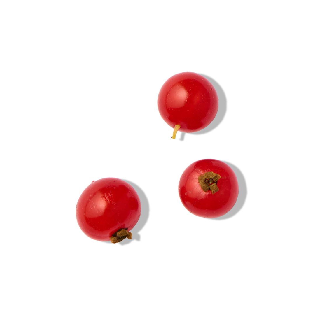 Rote Johannisbeere