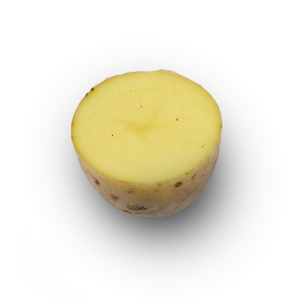 Ingredient Tab