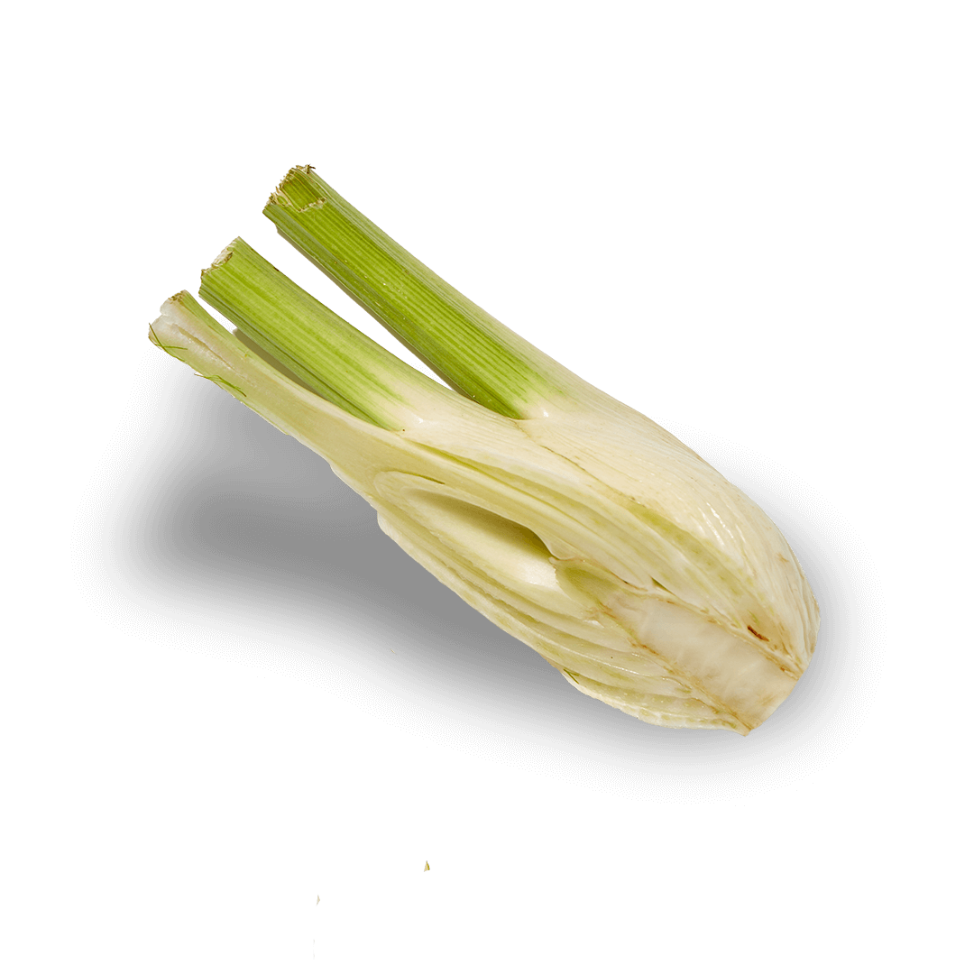 Ingredient Tab