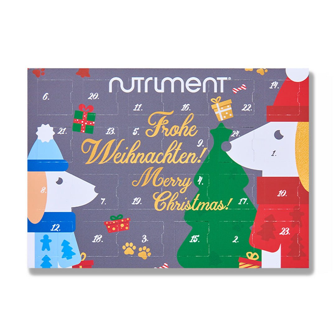 Adventskalender für Hunde