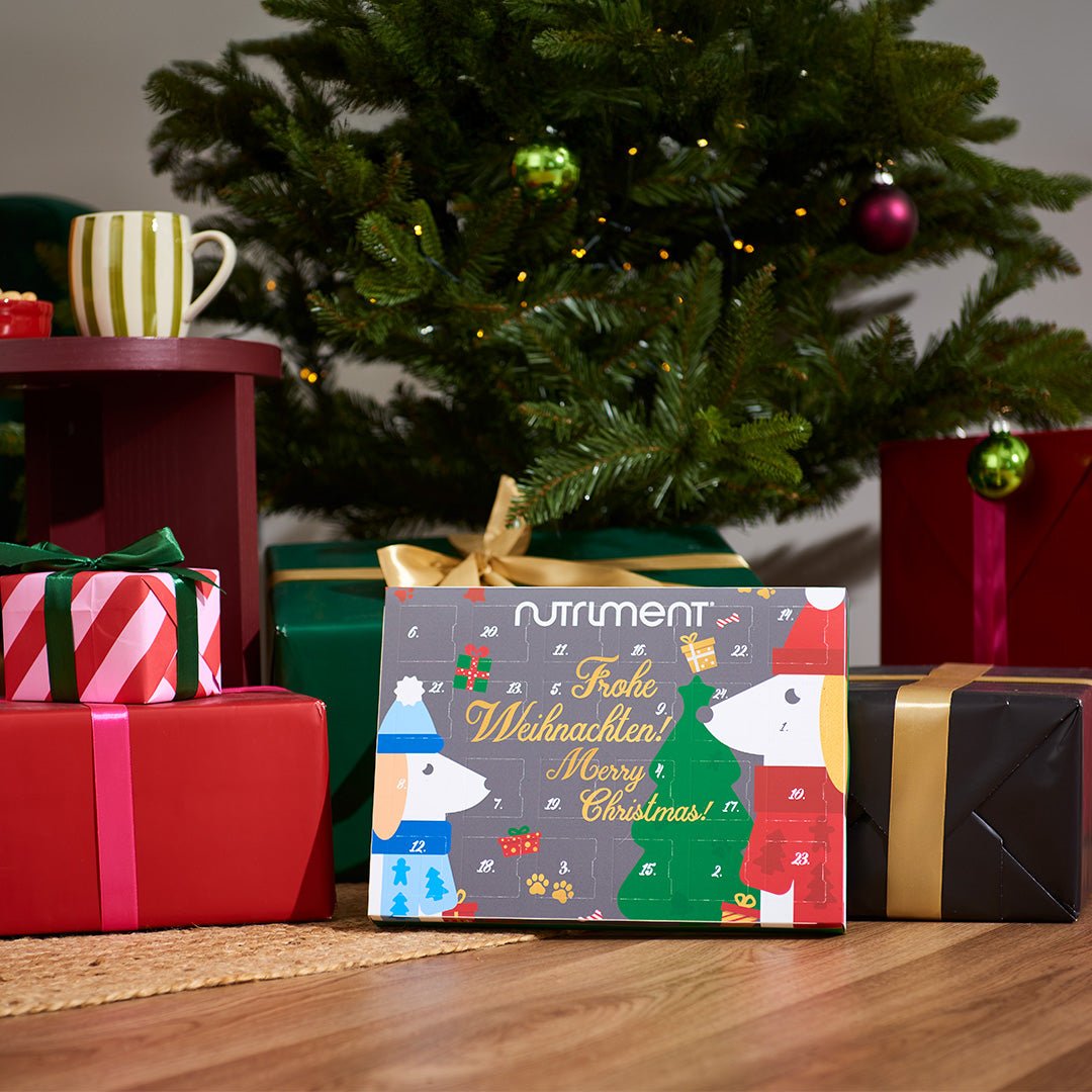 Adventskalender für Hunde