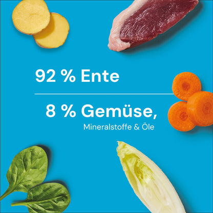 BARF-In-One Nuggets Ente 750 g