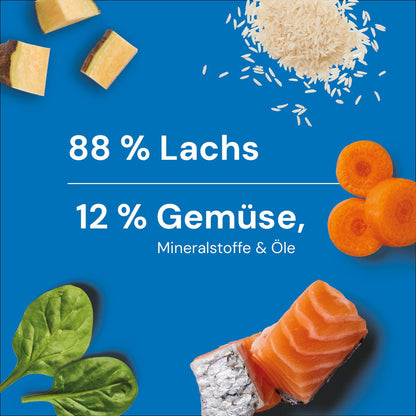 BARF-In-One Nuggets Lachs 750 g