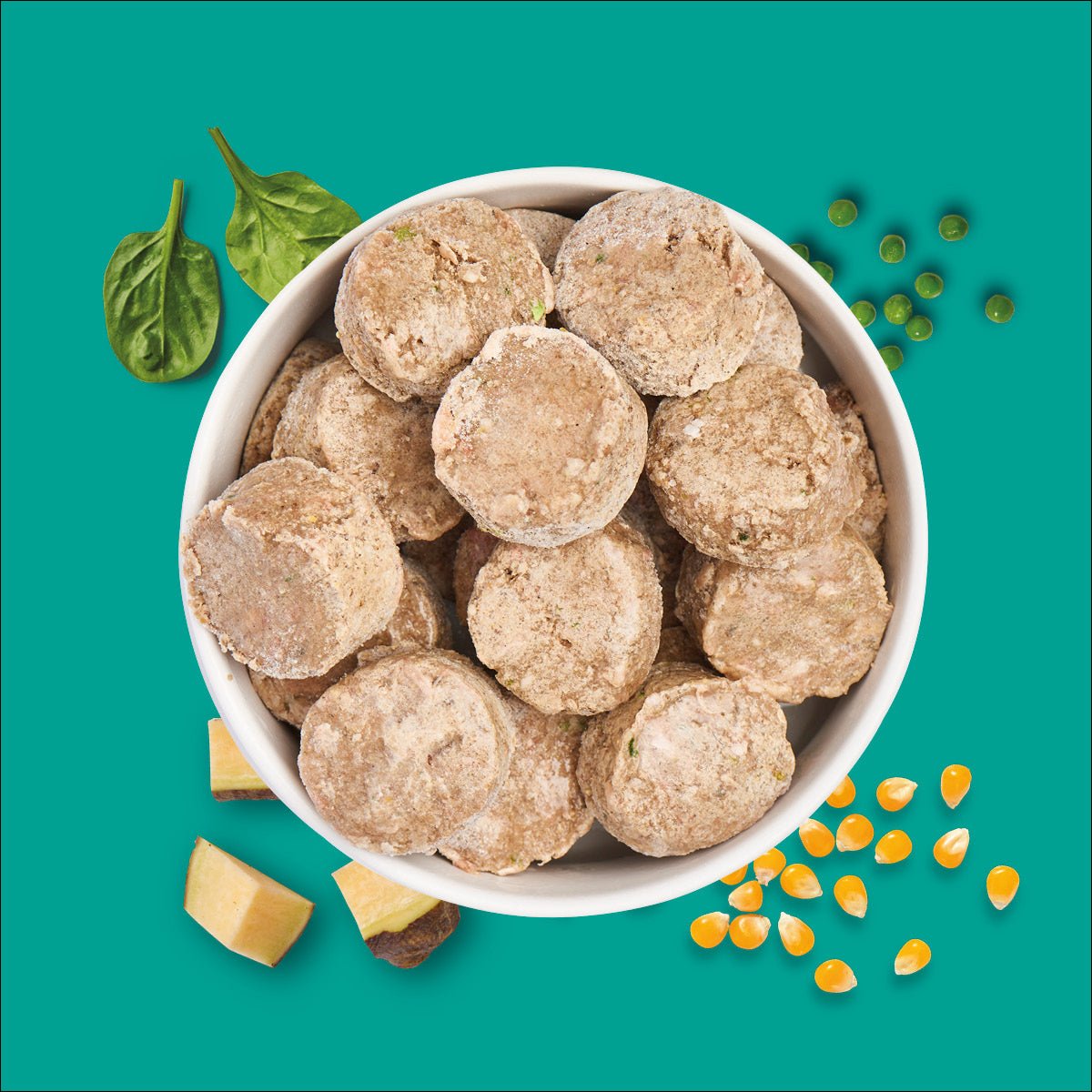 BARF-In-One Nuggets Pansen Plus 1000 g