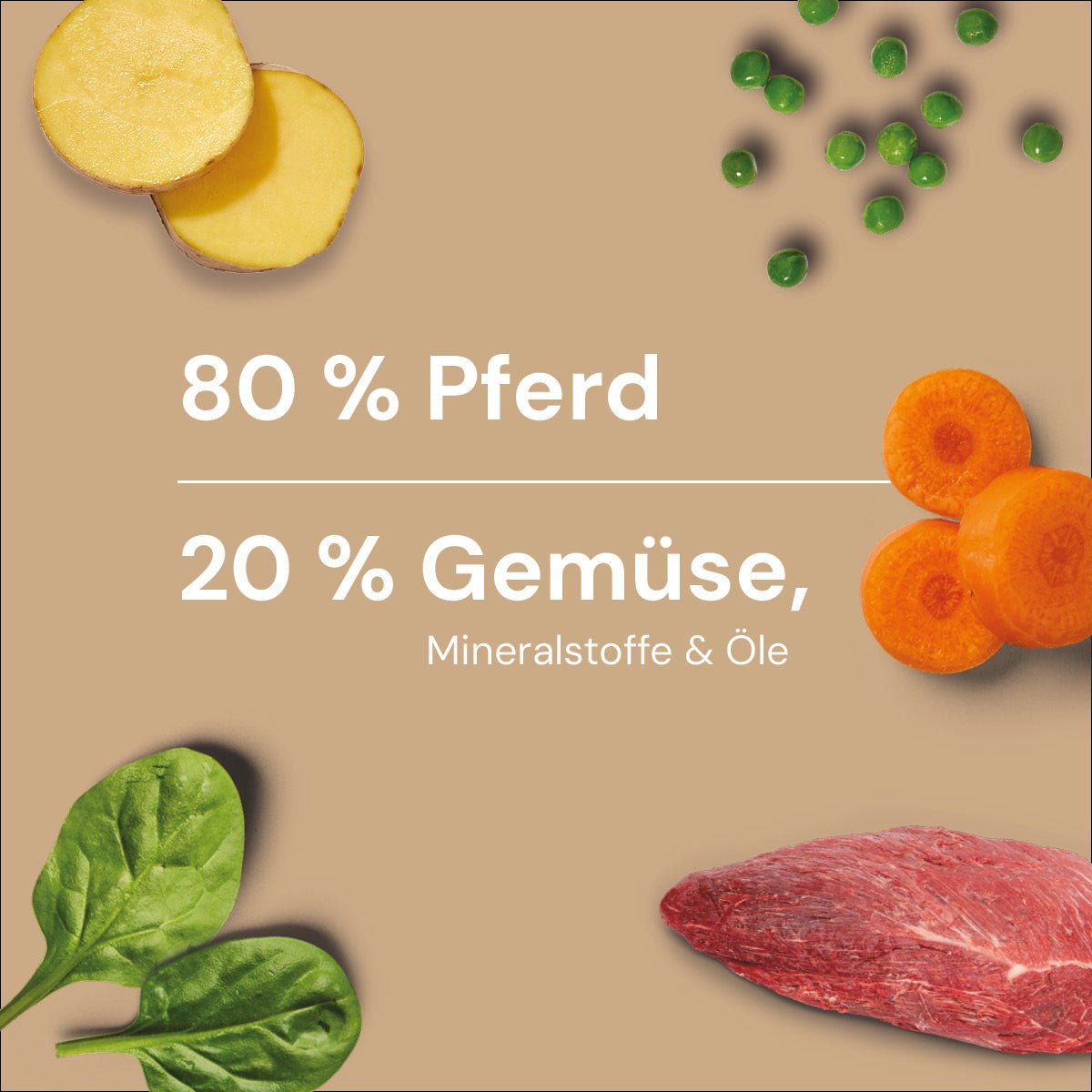 BARF-In-One Nuggets Pferd 750 g