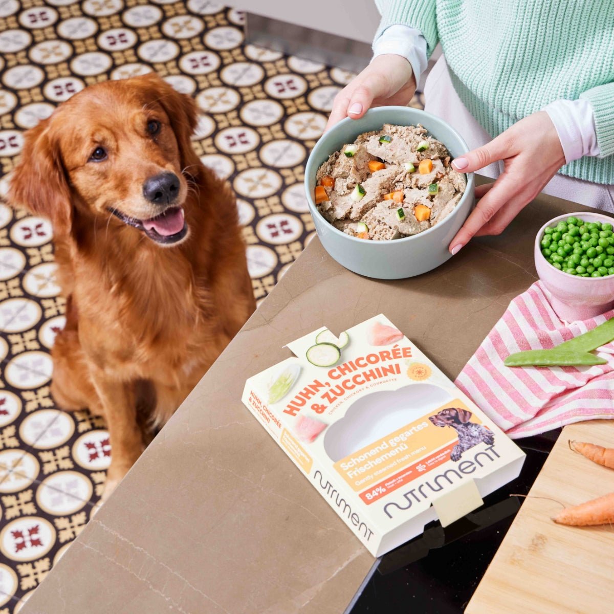 Frischemenü Lachs mit Kürbis und Zucchini, glutenfreies Hundefutter für sensible Hunde