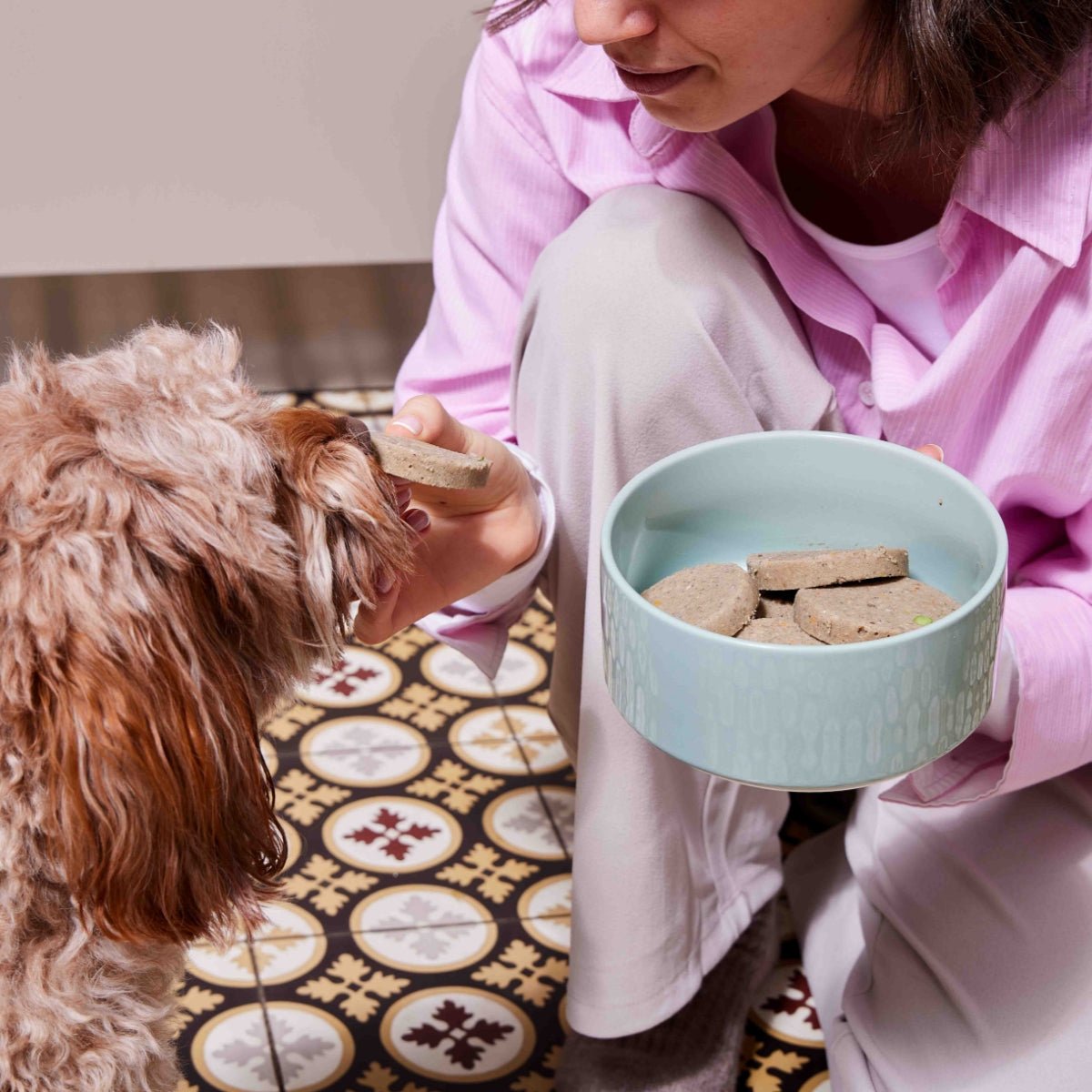 Frische Medaillons Lamm Kürbis Brokkoli sensitiv Hundefutter für empfindliche Hunde