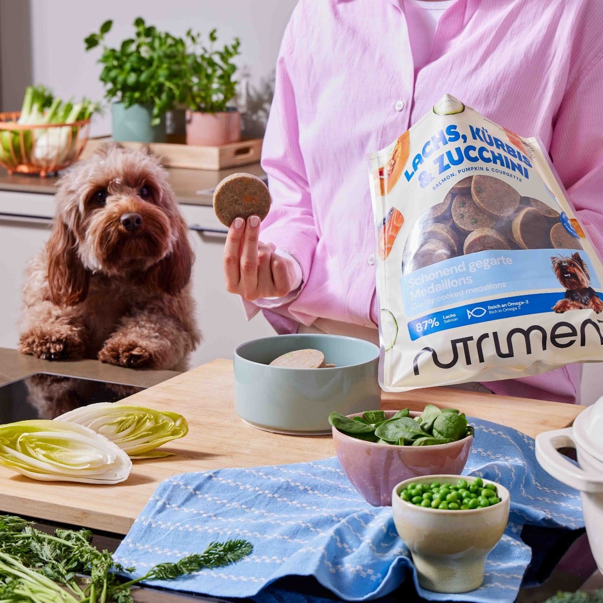Sensitiv Hundefutter Medaillons mit Lachs, Kürbis und Zucchini für empfindliche Hunde