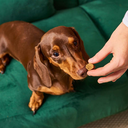 Gourmet-Slices - Wild