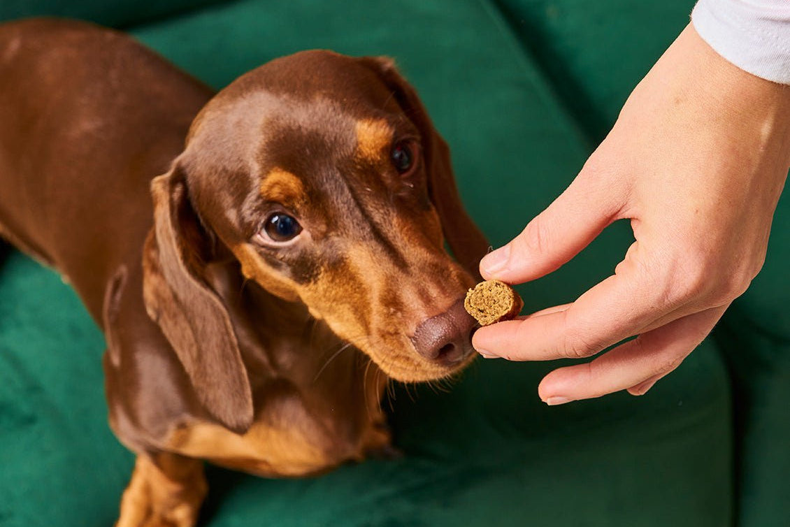 Gourmet-Slices Enten-Leckerli für Hunde gesund proteinreich und allergikerfreundlich