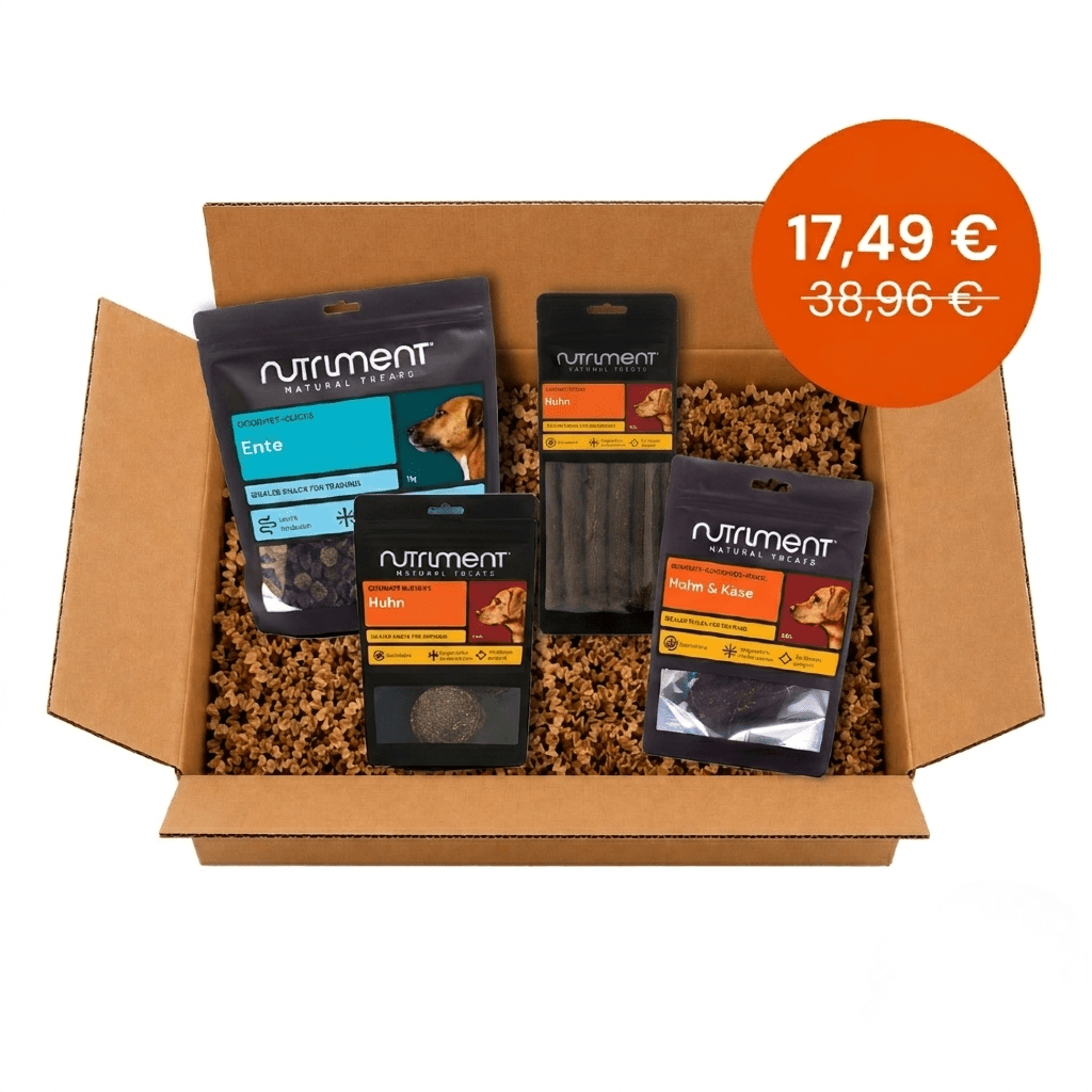 Gourmet-Snack Box 1 (MHD 08/26)