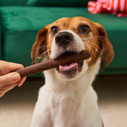 Gourmet-Sticks für Hunde aus hochwertigem Huhn, gesund und proteinreich