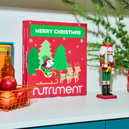Hunde Adventskalender 2026