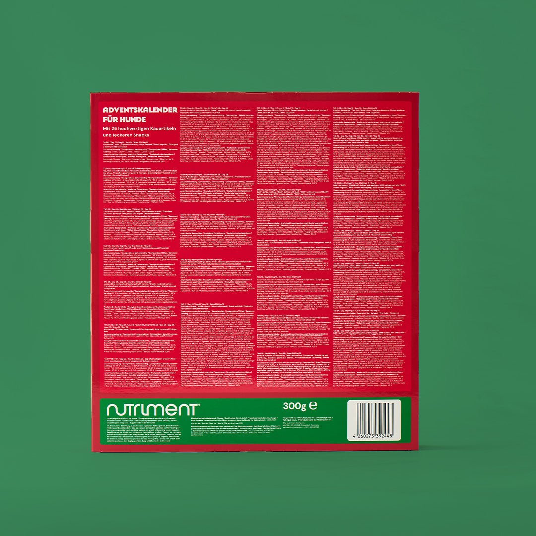 Hunde Adventskalender 2026