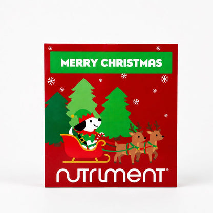 Hunde Adventskalender 2026
