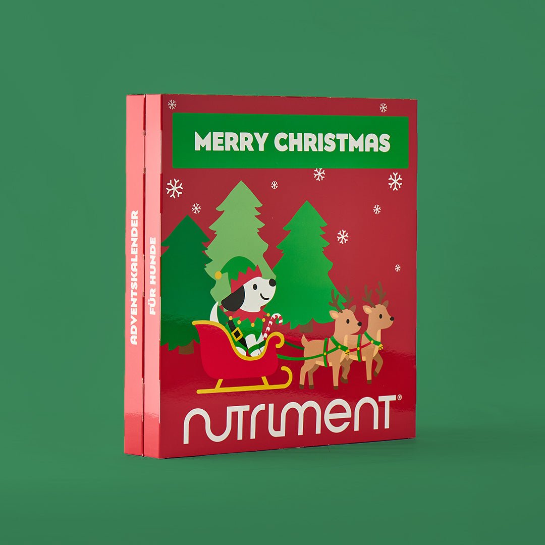 Hunde Adventskalender 2026