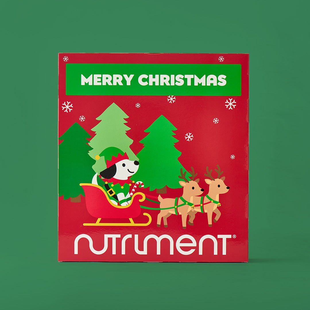 Hunde Adventskalender 2026