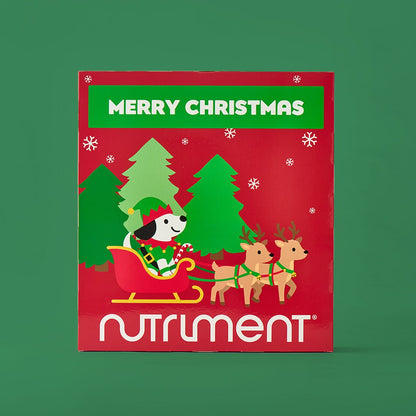 Hunde Adventskalender 2026