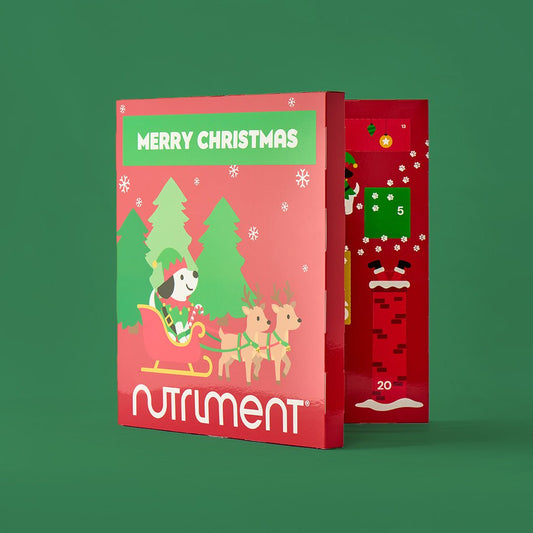 Hunde Adventskalender 2026