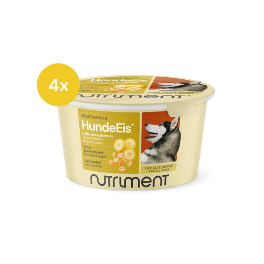 HundeEis® | 4 x 90 g