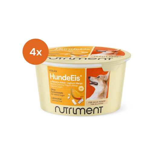 HundeEis® | 4 x 90 g