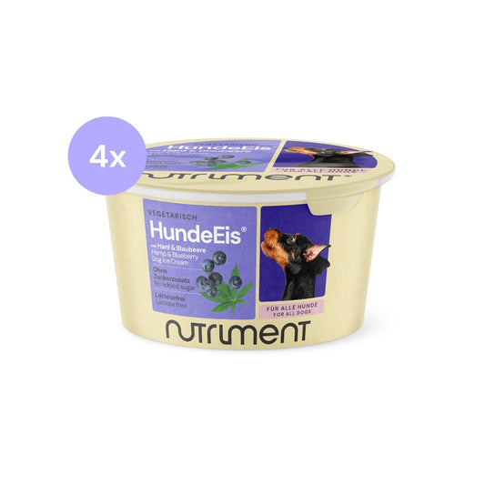 HundeEis® | 4 x 90 g