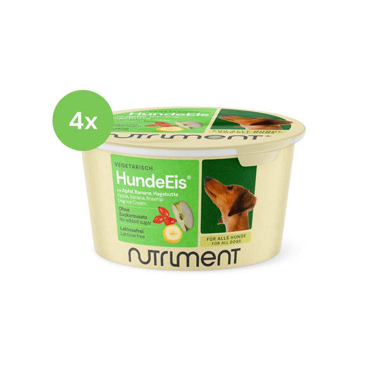 HundeEis® | 4 x 90 g