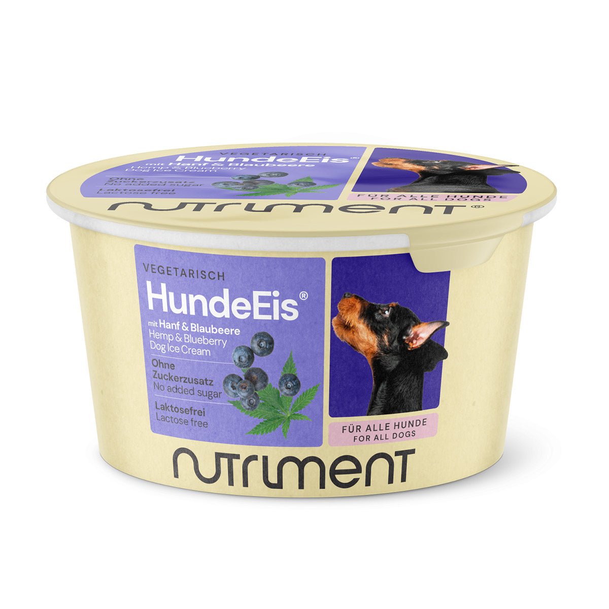 Hundeeis Hanf & Blaubeere – cremige, probiotische Hundesnacks für Sommererfrischung