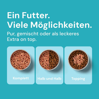 Komfort-BARF Menü Ente, Chicorée & Spinat
