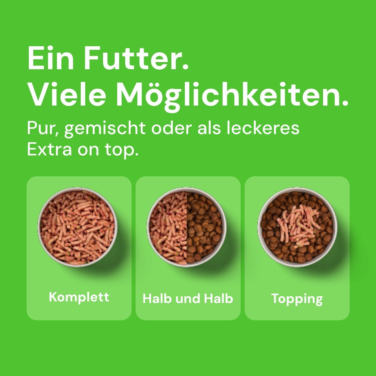 Komfort-BARF Menü Lamm, Kürbis & Chicorée