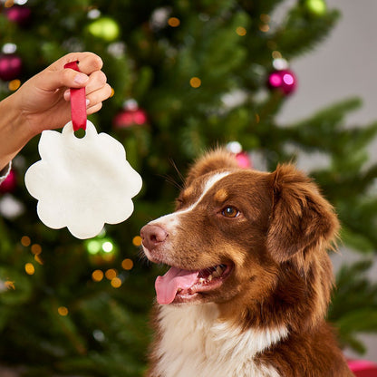 Lebkuchen für Hunde – BALD VERFÜGBAR