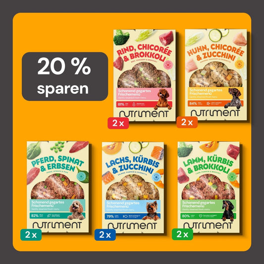 Probierpaket Frischemenü Mix