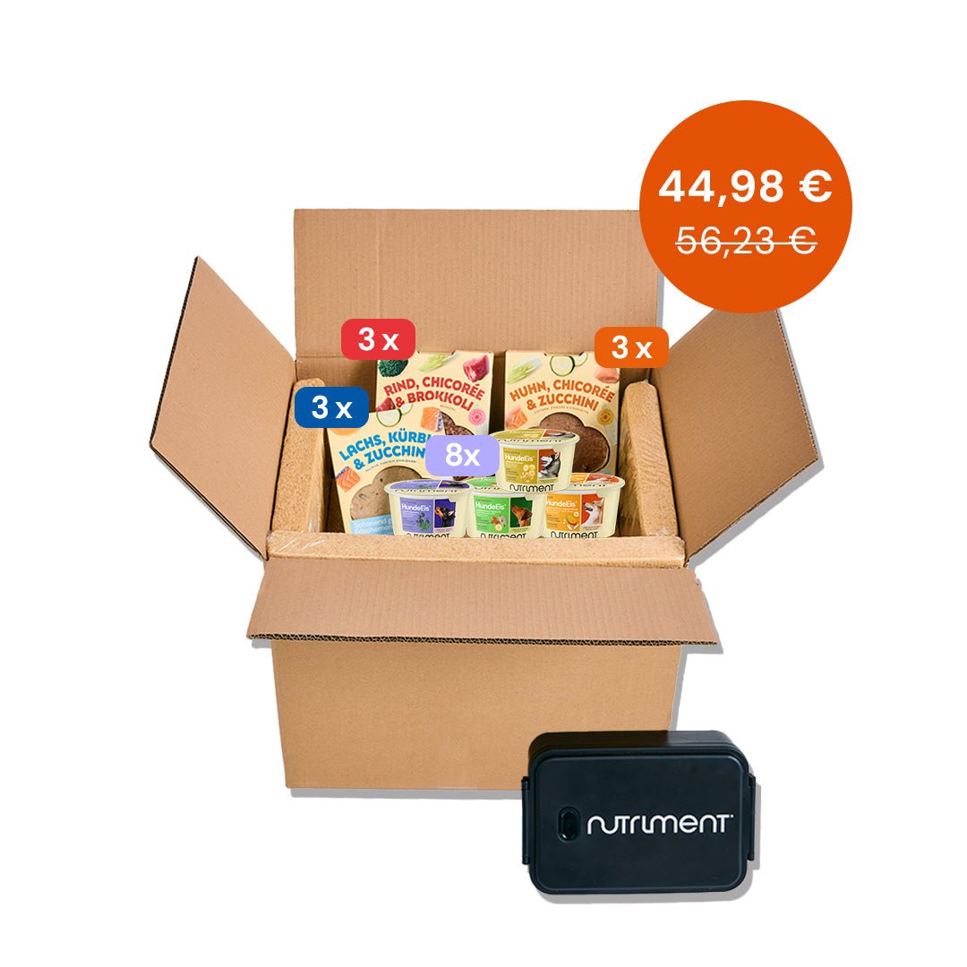 Probierpaket Frischemenü Mix + HundeEis®