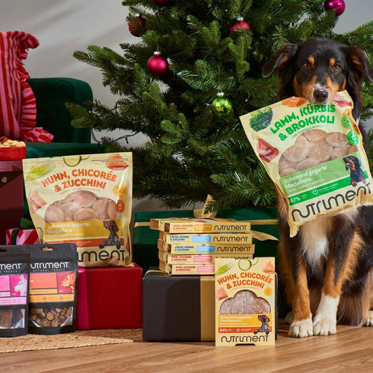 Probierpaket Frischemenüs – 20 % sparen!