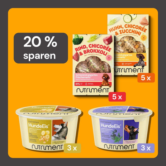 Probierpaket Frischemenüs & HundeEis
