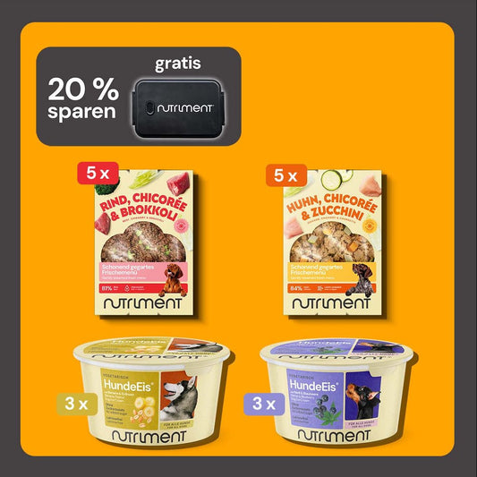 Probierpaket Frischemenüs & HundeEis