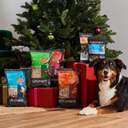 Probierpaket Komfort-BARF – 20 % sparen!