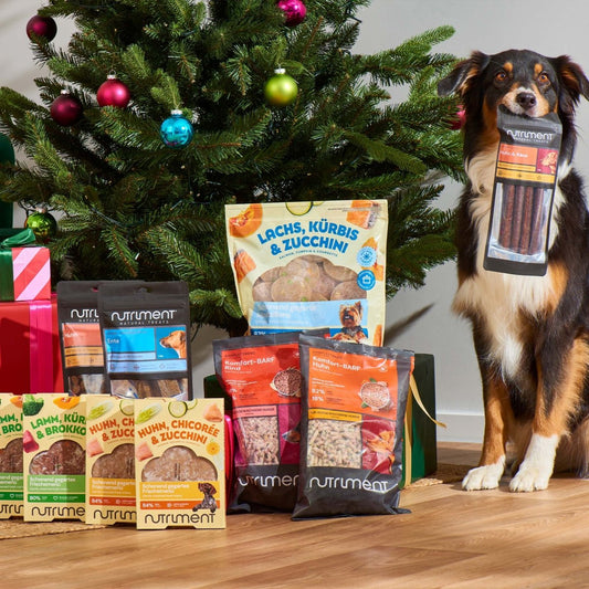 Probierpaket Mix – 20 % sparen!