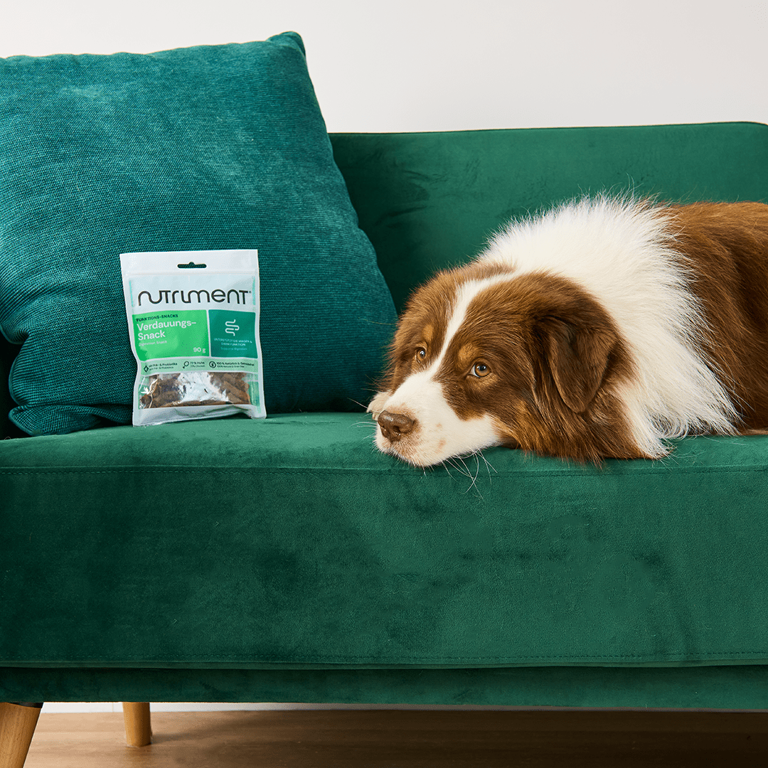 Verdauungs-Snack – 90 g